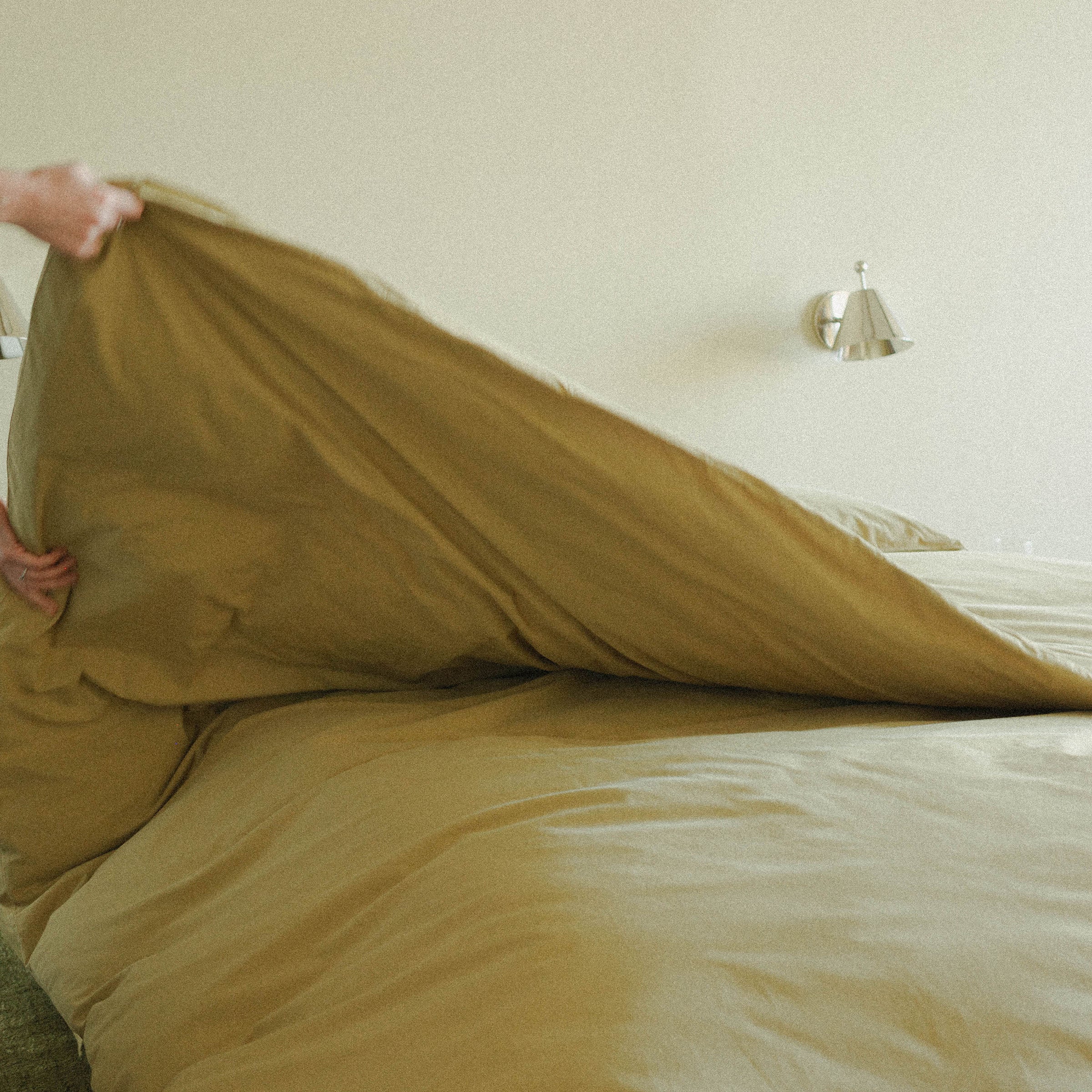 Swatch - Organic Percale, Pale Olive - Image 3